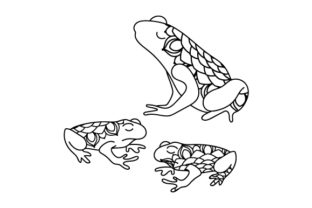 Mom and Baby Frogs: An Embroidery Design Review